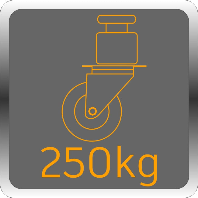 Industrierollen bis 250 kg